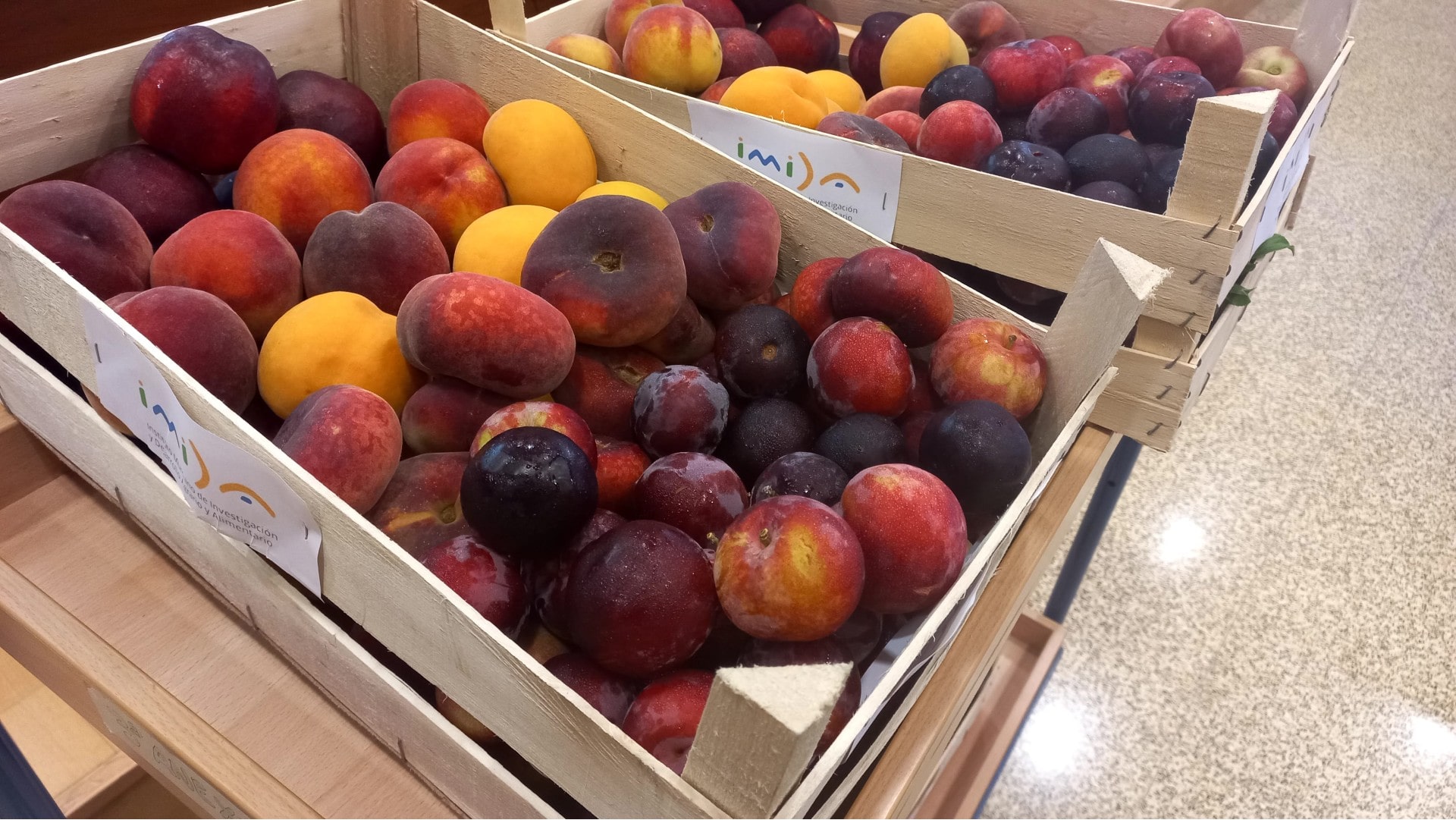 Jornada: Adaptación al Cambio Climático del Sector Agrícola, Mejora Genética y Sanidad Vegetal